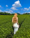sonya_fisher_ Altpins Profile Picture