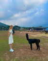 sonya_fisher_ Altpins Profile Picture