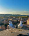 sonya_fisher_ Altpins Profile Picture
