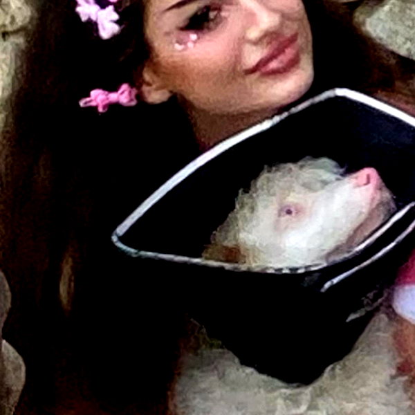 sophiagiannamore instagram image archive image