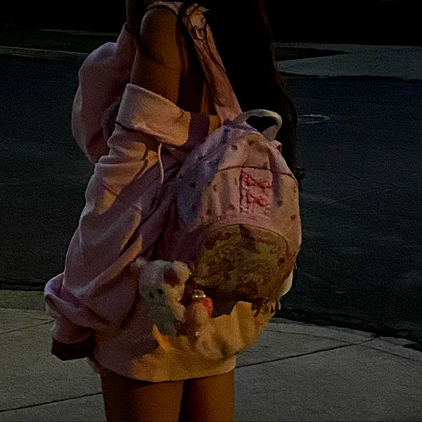 sophiagiannamore instagram image archive image