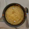 sophiagiannamore Altpins Profile Picture
