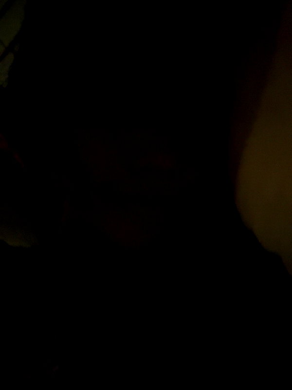 sophiekimmx instagram image archive image