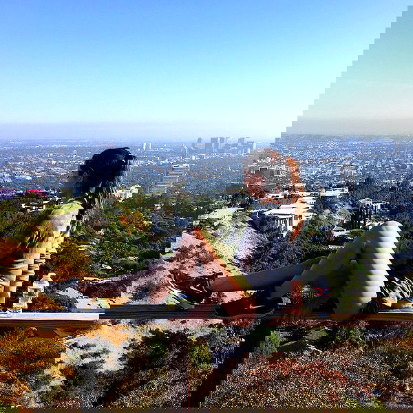 sophiemudd sophiemudd archive image