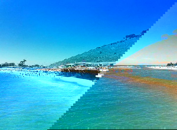 sophiemudd sophiemudd archive image