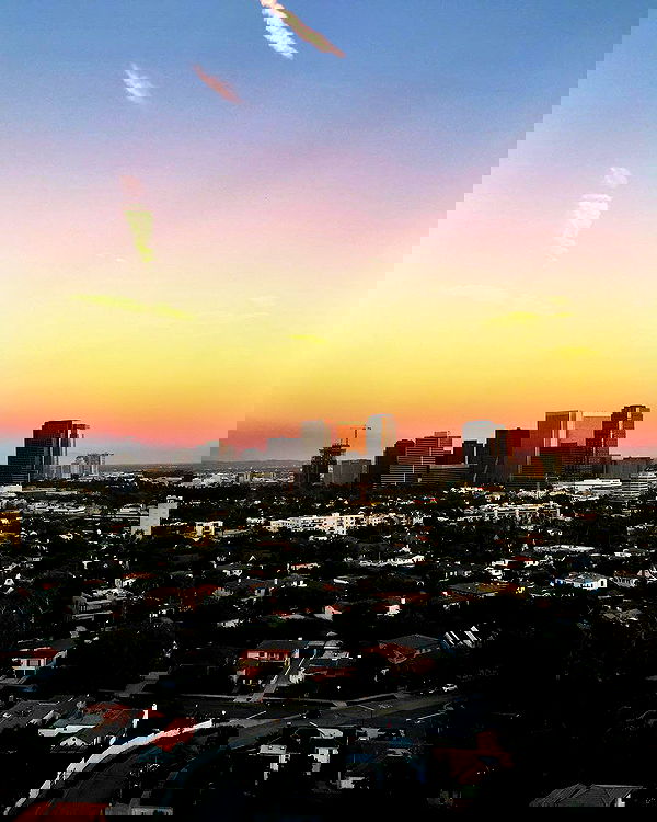 sophiemudd sophiemudd archive image