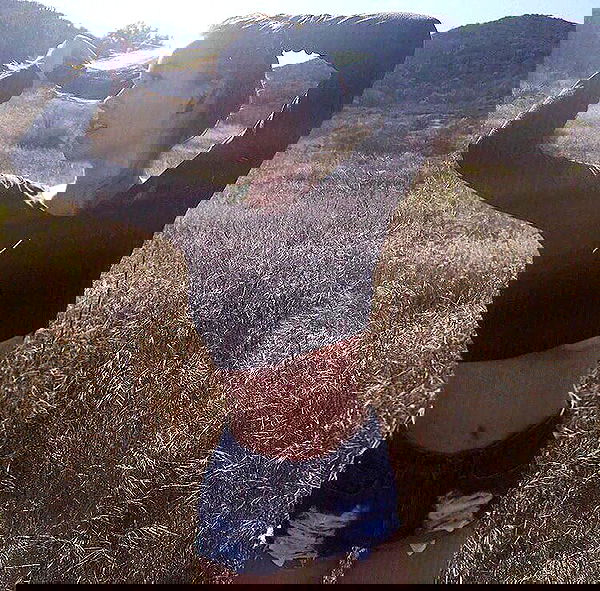 sophiemudd sophiemudd archive image