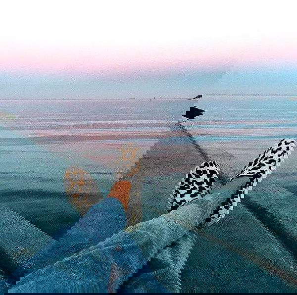 sophiemudd sophiemudd archive image