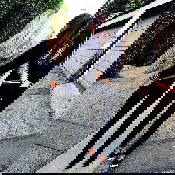 sophiemudd sophiemudd archive image