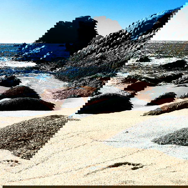 sophiemudd sophiemudd archive image