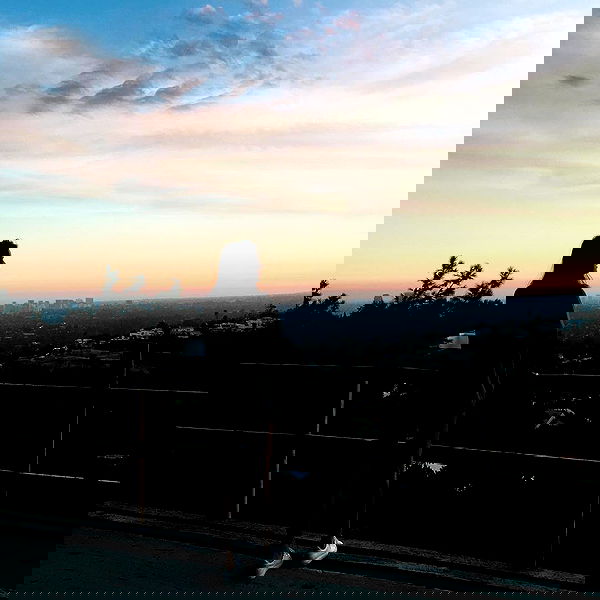 sophiemudd sophiemudd archive image