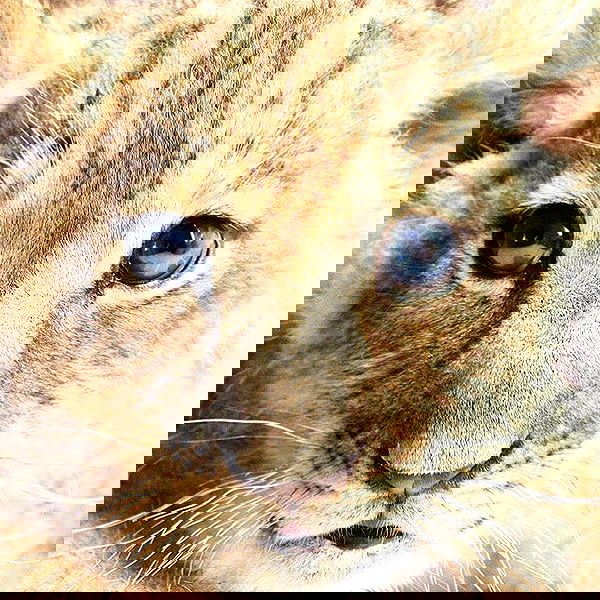 sophiemudd sophiemudd archive image