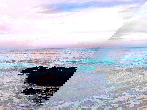 sophiemudd sophiemudd archive image