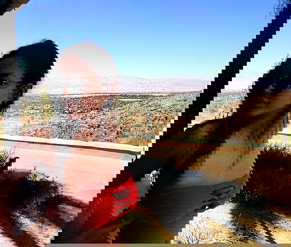 sophiemudd sophiemudd archive image