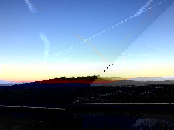 sophiemudd sophiemudd archive image