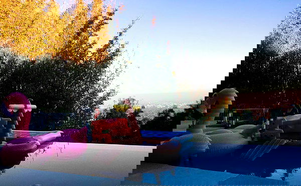 sophiemudd sophiemudd archive image