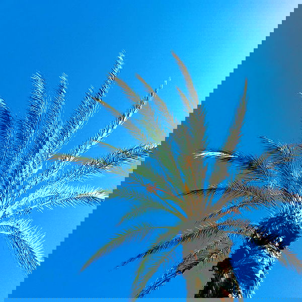 sophiemudd sophiemudd archive image