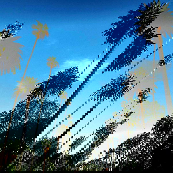 sophiemudd sophiemudd archive image