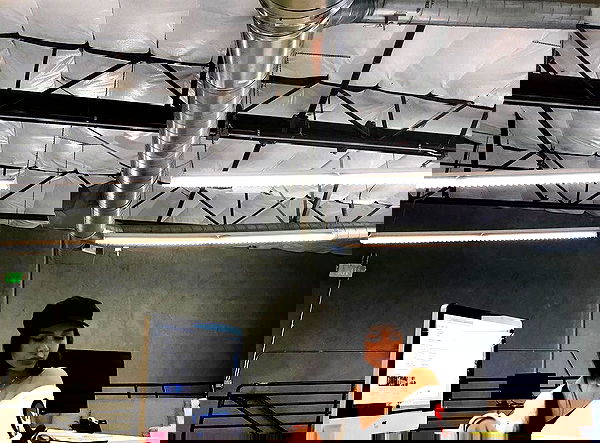 sophiemudd sophiemudd archive image