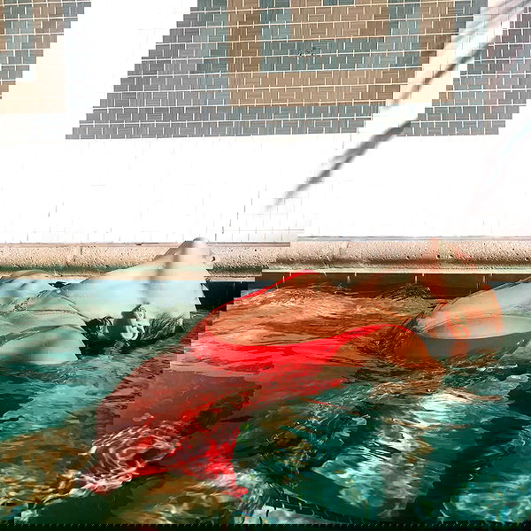 sophiemudd sophiemudd archive image