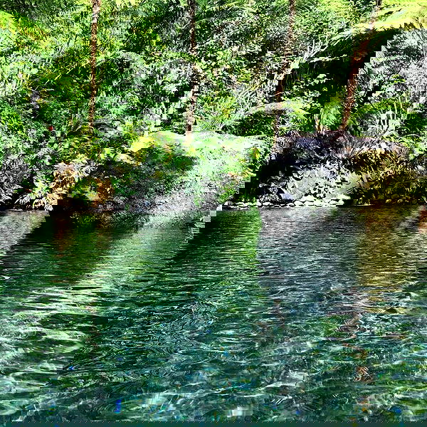 sophiemudd sophiemudd archive image