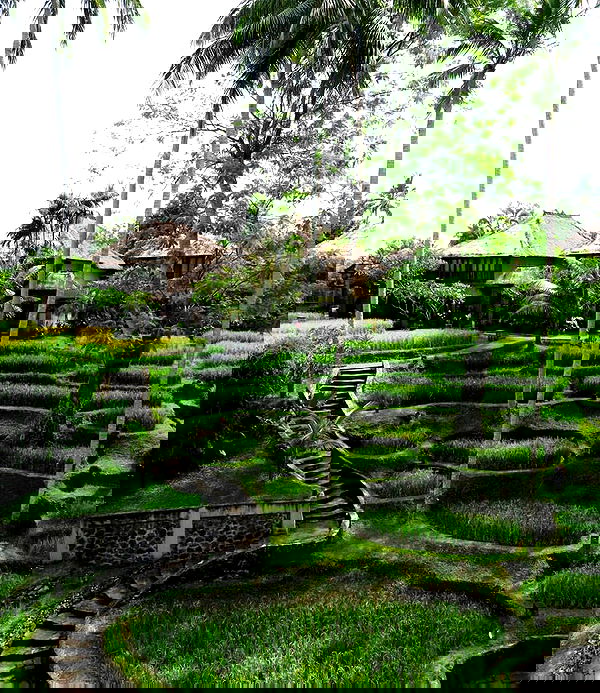 sophiemudd sophiemudd archive image