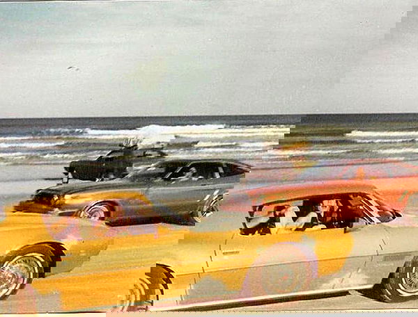 sophiemudd sophiemudd archive image