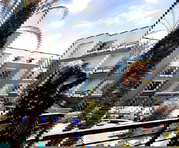 sophiemudd sophiemudd archive image