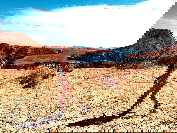 sophiemudd sophiemudd archive image