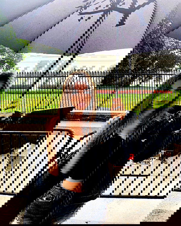 sophiemudd sophiemudd archive image