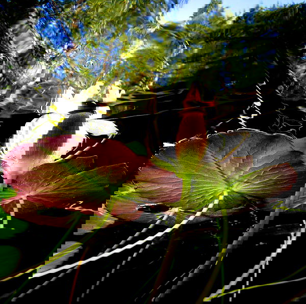 sophiemudd sophiemudd archive image