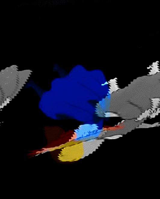 sophiemudd sophiemudd archive image