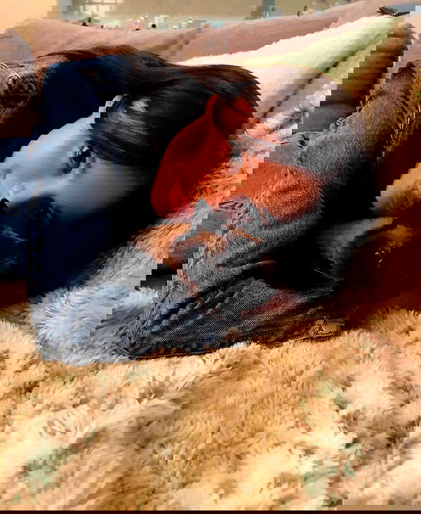 sophiemudd sophiemudd archive image