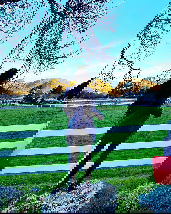 sophiemudd sophiemudd archive image