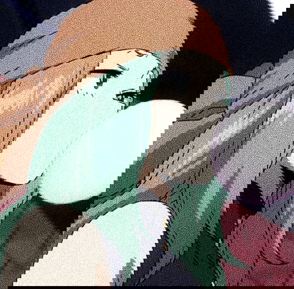 sophiemudd sophiemudd archive image