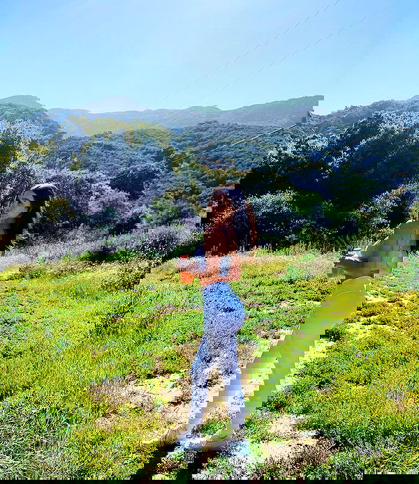 sophiemudd sophiemudd archive image