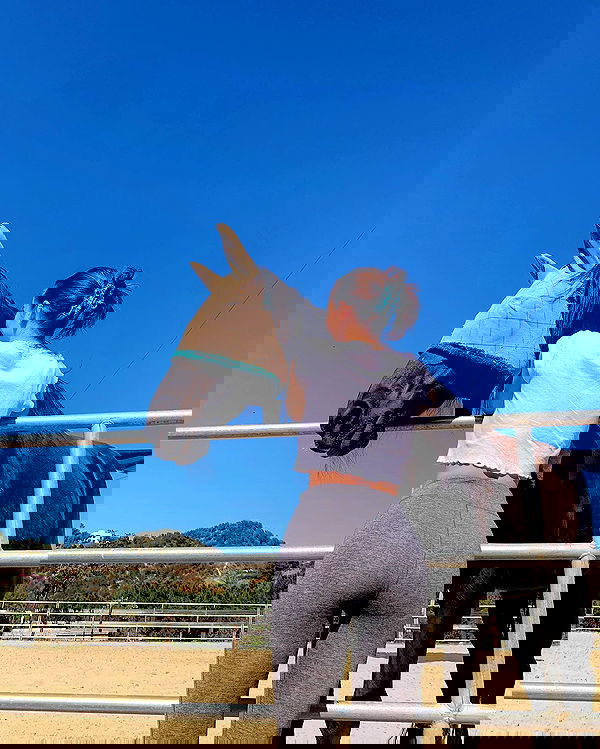 sophiemudd sophiemudd archive image