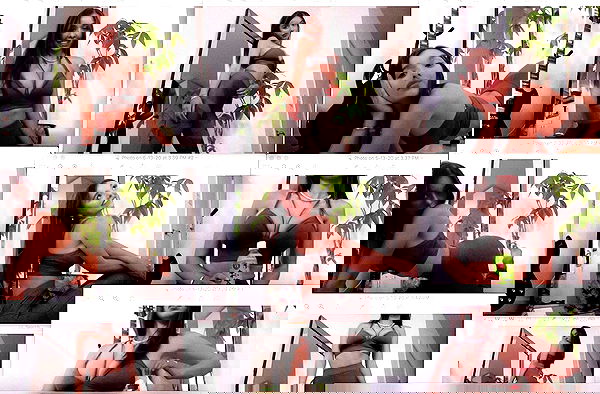 sophiemudd sophiemudd archive image