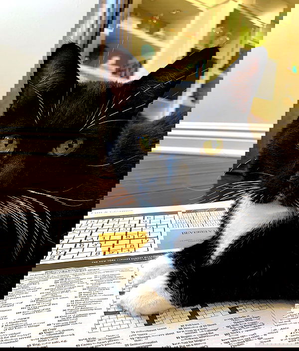 sophiemudd sophiemudd archive image