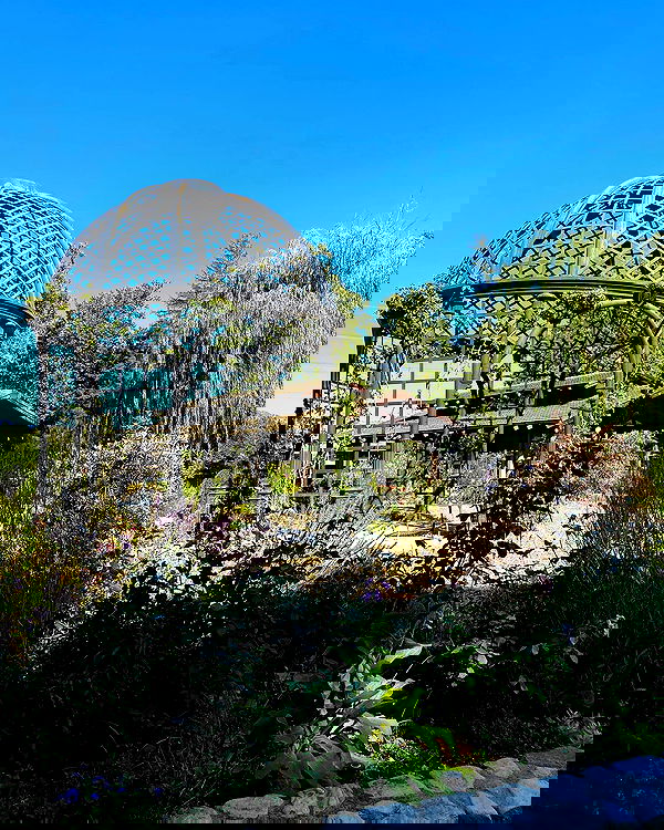 sophiemudd sophiemudd archive image