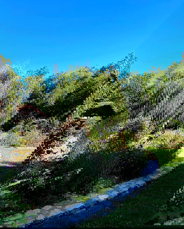 sophiemudd sophiemudd archive image