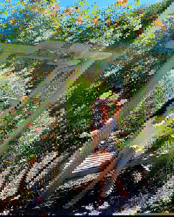 sophiemudd sophiemudd archive image