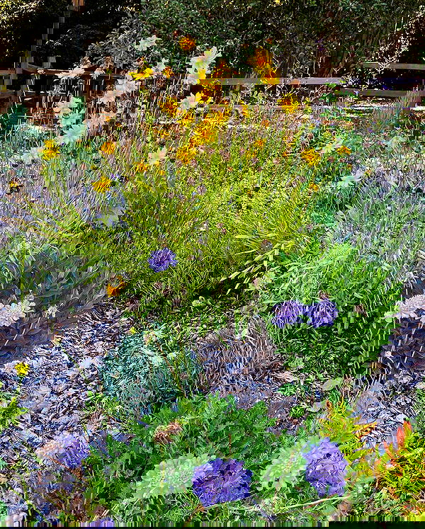 sophiemudd sophiemudd archive image