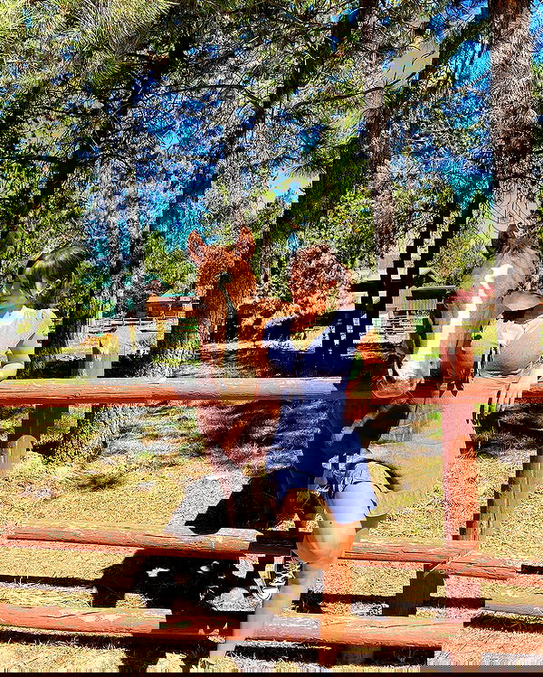 sophiemudd sophiemudd archive image