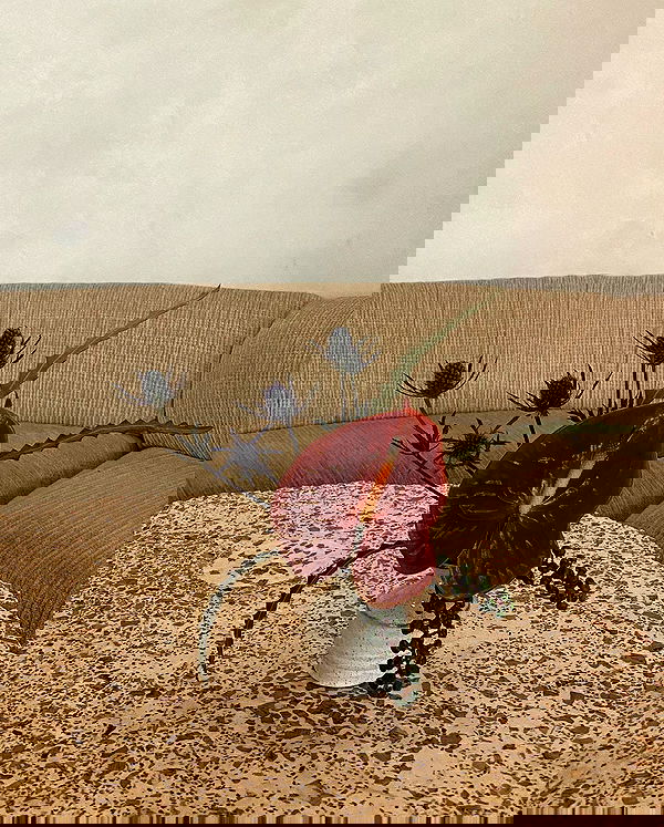 sophiemudd sophiemudd archive image