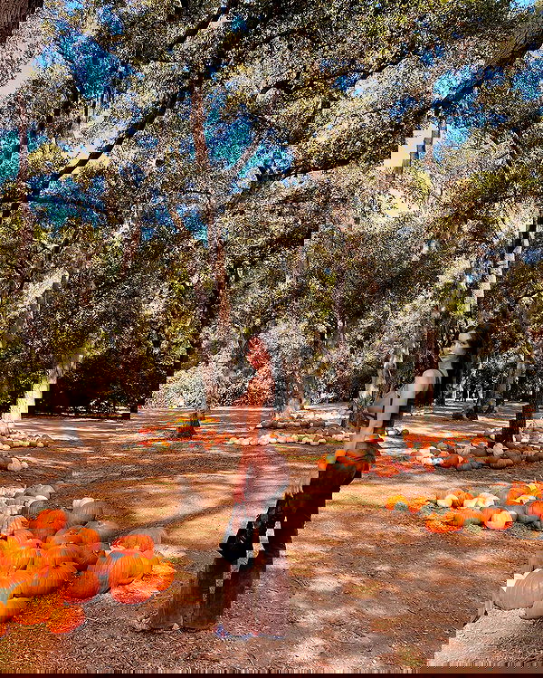 sophiemudd sophiemudd archive image