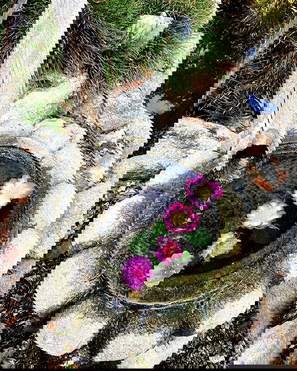 sophiemudd sophiemudd archive image