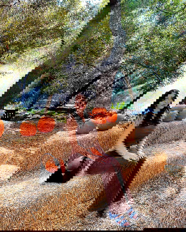 sophiemudd sophiemudd archive image