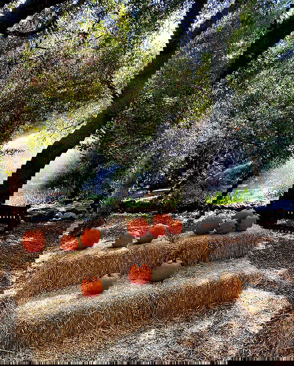 sophiemudd sophiemudd archive image