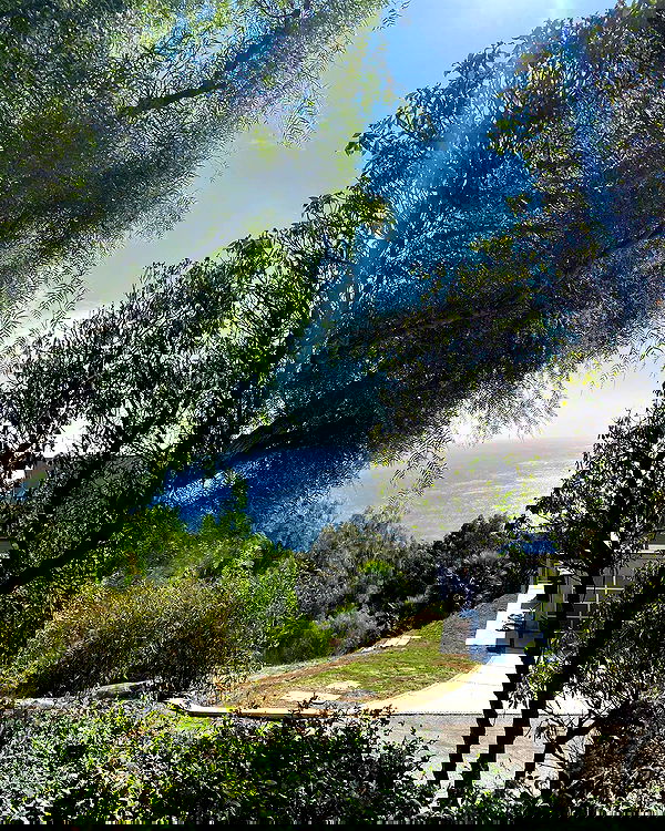 sophiemudd sophiemudd archive image